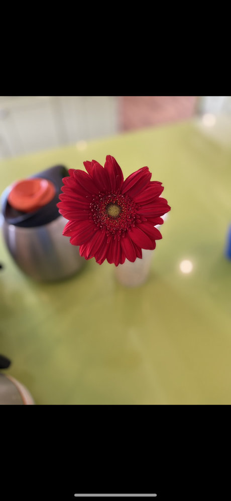 Nola Symoan nackt beste archiv