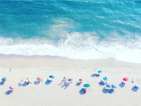 Persian Kittey exklusive nette bild