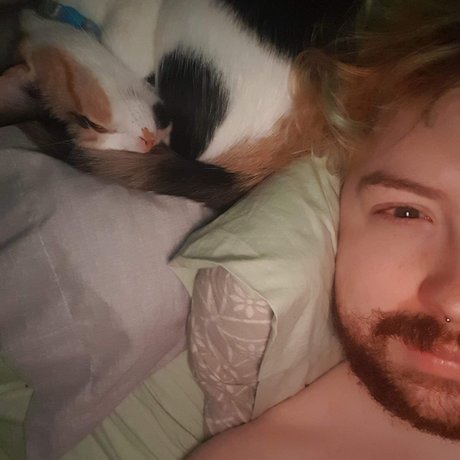 Panpolypolyhedral freie bild