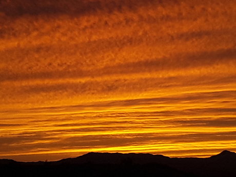 beliebte asiatische onlyfans beste perfekte bilder