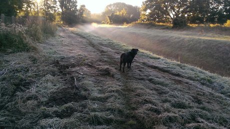 onkelbert hd pornostar fotos