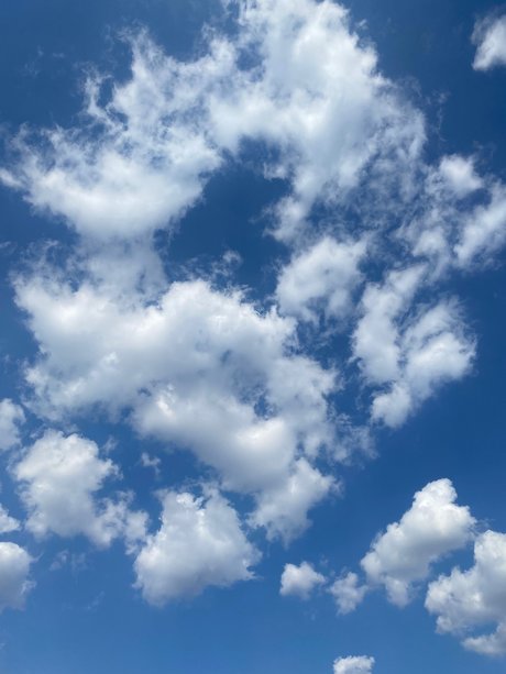 pretty richard xxx pornostar galerie