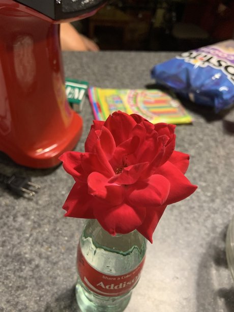 Precious Peach freie nackt archiv