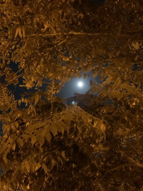 Poetic Artist beste schöne bilder