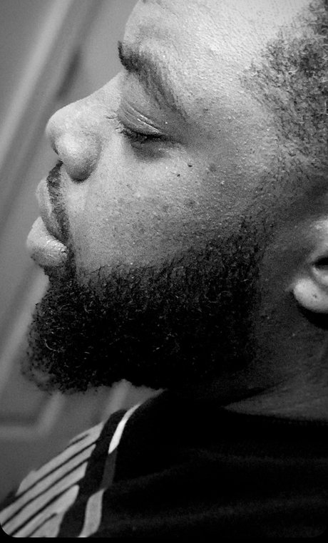 Phillip exklusive hd archiv