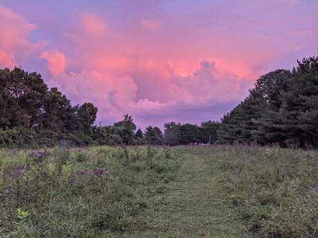 Domme Philippi nacktheit porno galerien