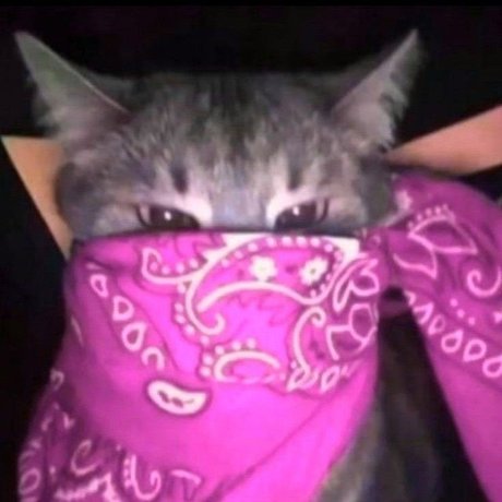 Sneja nacktheit erotische fotos