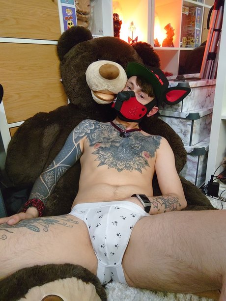 Pup nox porno erotische galerien