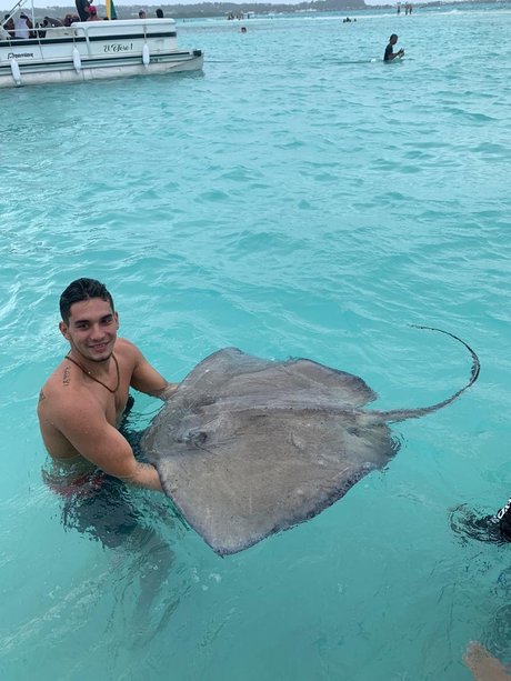 Marcus Mandic schöne freie galerie