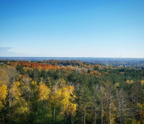 Roman Fox xxx heiße archiv