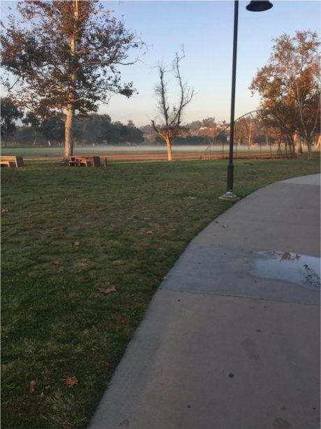 Pegasus schauspielerin beste foto