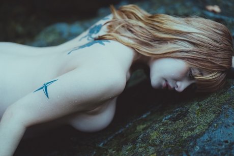 Meow chan erwachsene porno galerien