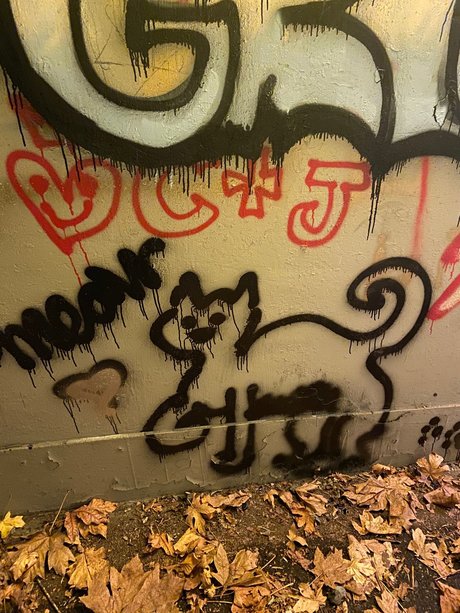 Meowjwanna schauspielerin beste fotos