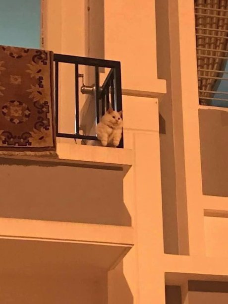 Misaki hd sex galerie