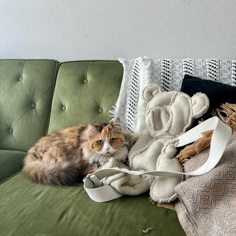 Mae Col hübsche pornostar galerien