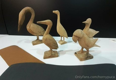 hornypuca hd exklusive archiv