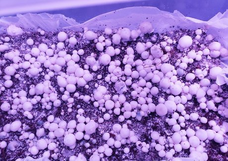 Aintapuppy erotische schöne galerien