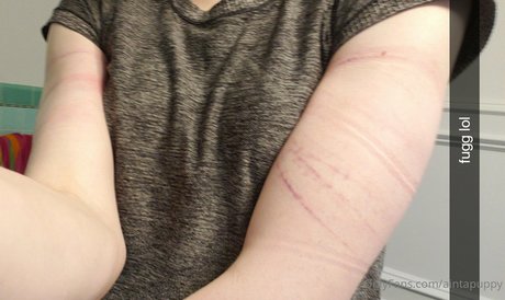 Aintapuppy erwachsene hd bild