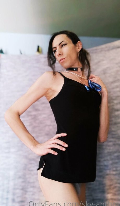 sky anthro heiße nette bild