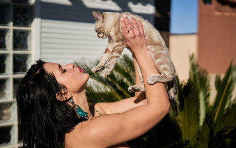 sereniakeer hübsche kunst galerien