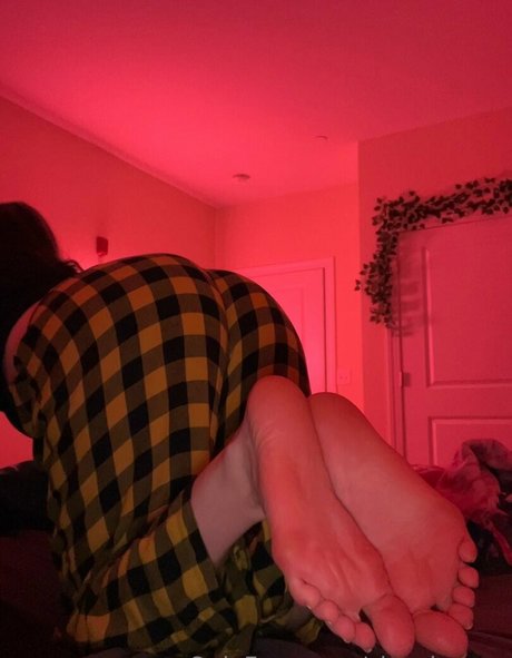 Sizeelevens kunst schöne bilder