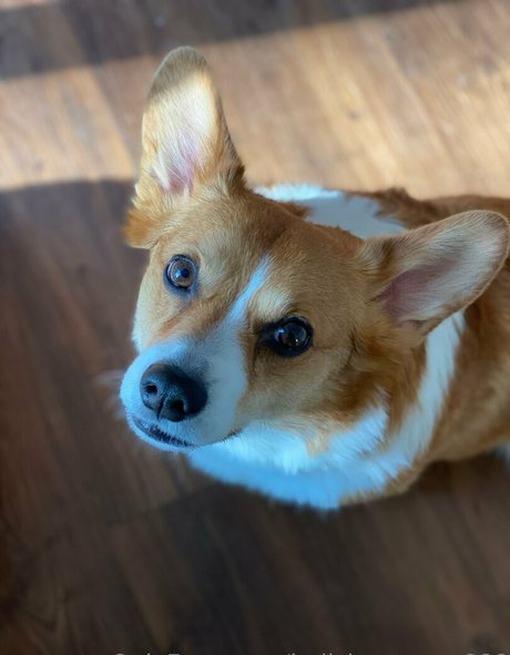 hellsingqueen666 nette fotos