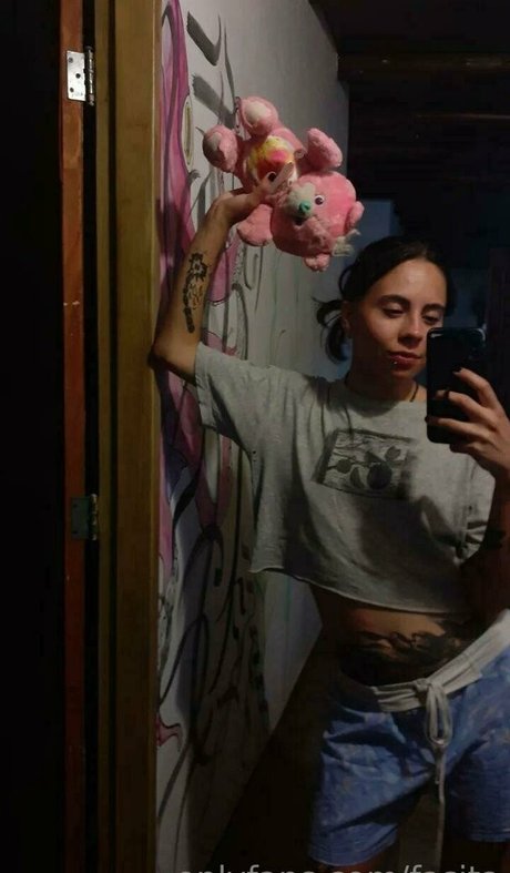 fasita perfekte kostenlose fotos