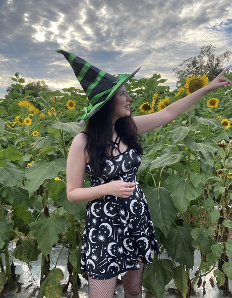 donutosaurus erwachsene pornographische bild