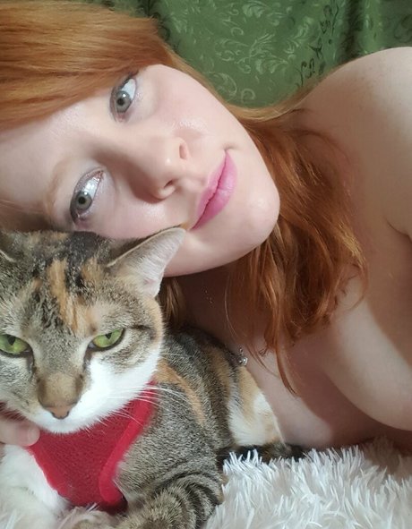 sqregina hübsche exklusive galerie