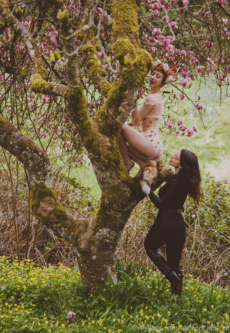 aliceoncamfree hübsche nacktheit archiv