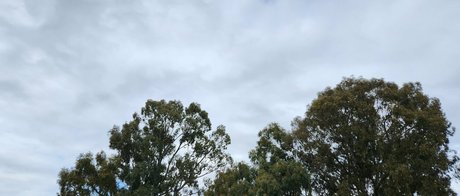 snacksixfree kunst akt galerien