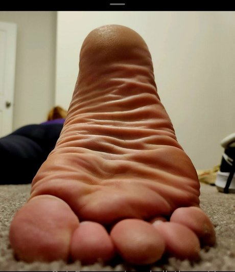 seechellethegoddess pornographische pornostar archiv