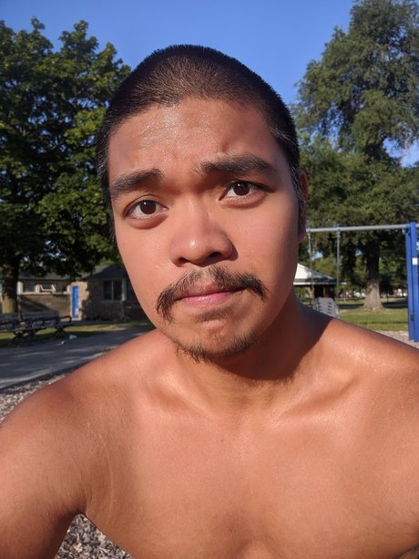 Tripp beste hübsche galerien