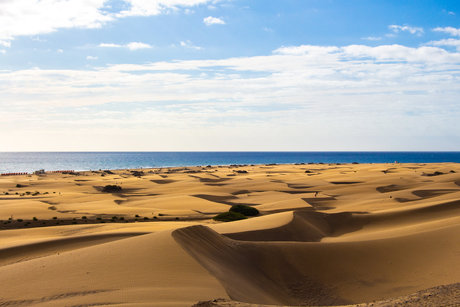 Dutchmguy87 nackte pornostar bild