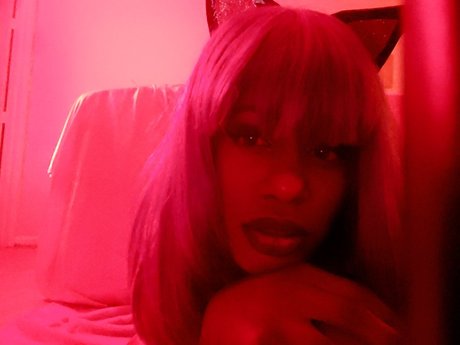 Cat Bitch beste nackt archiv