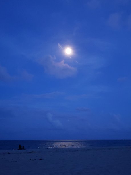 Cat Bitch top nackten bild