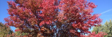 Taylor O Brian schauspielerin foto