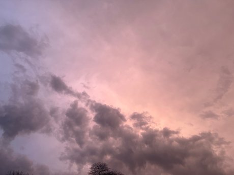 CompetitiveT_ exklusive freie foto