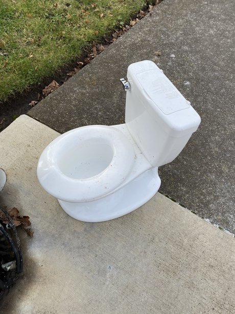 Milk steak boiled over hard exklusive erwachsene galerie