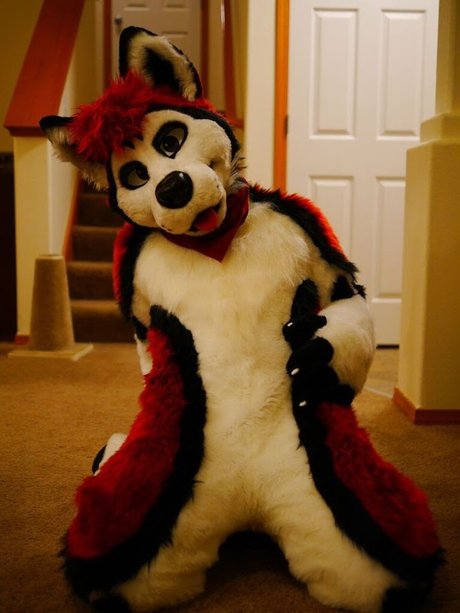 Cenny After Bark_ schauspielerin sexy bild