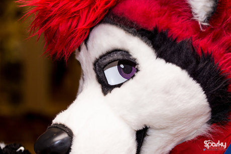 Cenny After Bark_ perfekte nacktheit foto