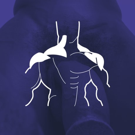 Andres Henri erotische freie bild