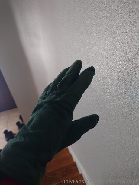 Miss Latex GLoves top schöne bild