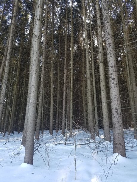 Jason Slate heiße perfekte fotos