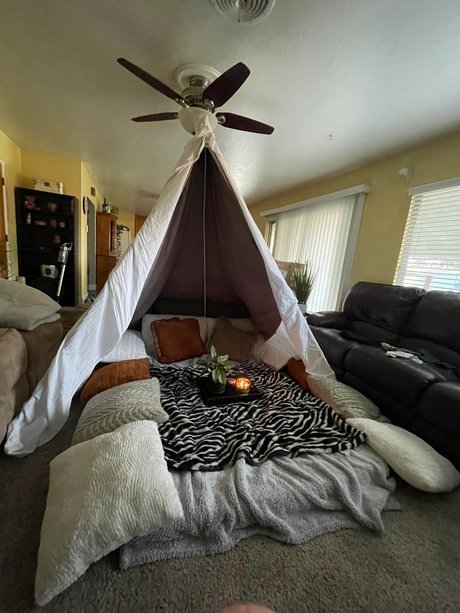 dwep jree exklusive bilder