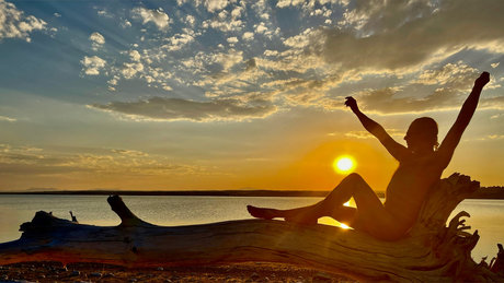 Jayroe erwachsene hd archiv