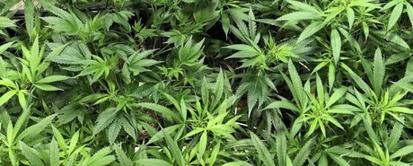 Kara Mel_ kunst akt galerien