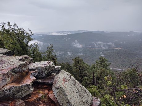 zierlicher großer arsch nur fans xxx porno foto