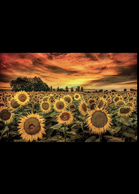 Brittany Snow sexy nackten foto