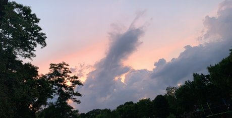 Hoffzilla Profilbild